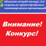 Объявлен конкурс 2021 года социально ориентированных некоммерческих организаций - Илекский район