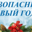 Предновогодние мероприятия. Досуг на новогодние каникулы, профилактика отравлений, травматизма - Илекский район